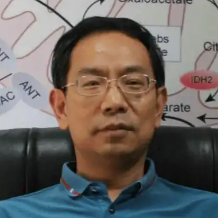 杨吉春